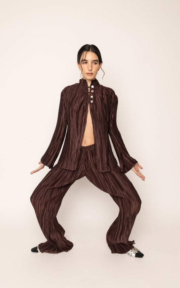 Pleated Pants Brown