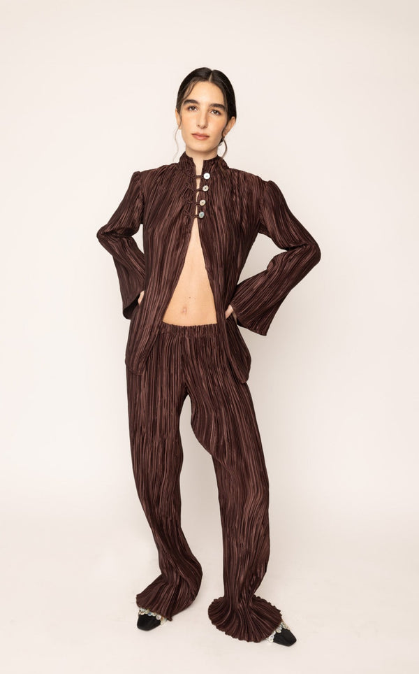 Pleated Pants Brown
